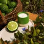 Candles - Ceramic scented candle - ROSIE COTE ATLANTIQUE FRANCE
