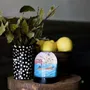 Accessoires de déco extérieure - Boule à paillette Michel Bellepêche - LES RITOURNAILES