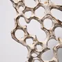 Design objects - Mycelium Running - KARLIEN VAN ROOYEN