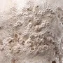 Design objects - Mycelium Running - KARLIEN VAN ROOYEN