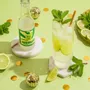 Épicerie fine - Cocktail: Mojito - COCKTAILITO