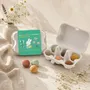 Accessoires de jardinage - Bombes de fleurs Miffy – Fais pousser le bonheur - Blossombs - MAISON ROYAL GARDEN