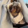 Accessoires animaux - Sac pour chien avec doublure en peluche/Aspen - DREW'S DOGWEAR