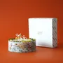 Bougies - Bougie botanique KOTT | Amber | Gentle Glow | 900g - KOTT