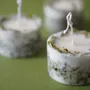 Candles - KOTT Botanical Candle | Moss | Among the Willows | 100g - KOTT