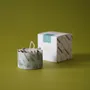 Candles - KOTT Botanical Candle | Moss | Evolve | 100g - KOTT
