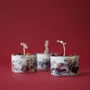Candles - KOTT Botanical Candle | Soil | Fireside Secrets | 100g - KOTT