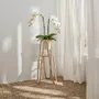 Décorations florales - Support à plantes en rotin naturel Tige - LO-FI HOUSE