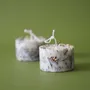 Candles - KOTT Botanical Candle | Hadong | Smoky Blossom - KOTT