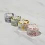 Candles - KOTT Botanical Candle | Set Quartet - KOTT