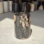 Stools - Black petrified wood side table beige side H35 D24 - 3352 - OFFICE OBJETS