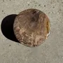 Stools - Small side table in beige grey petrified wood H28 D18 - 3325 - OFFICE OBJETS