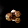 Objets de décoration - Bougie Globe Classic — Bois de Tonka - PONPON CURIOSITAS