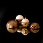 Objets de décoration - Bougie Globe Classic — Bois de Tonka - PONPON CURIOSITAS