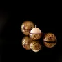 Objets de décoration - Bougie Globe Classic — Bois de Tonka - PONPON CURIOSITAS