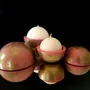 Objets design - Bougie Globe Classic — Pivoine - PONPON CURIOSITAS