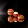Gifts - Globe Classic Candle — Musk Rose - PONPON CURIOSITAS