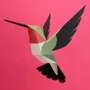 Design objects - Selasphorus Platycercus - PLEGO