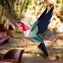 Design objects - Selasphorus Platycercus - PLEGO
