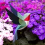 Design objects - Selasphorus Platycercus - PLEGO