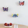 Other wall decoration - Butterflies & Beetles - STUDIO ROOF
