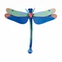 Other wall decoration - Butterflies & Beetles - STUDIO ROOF