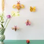 Other wall decoration - Butterflies & Beetles - STUDIO ROOF