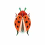 Other wall decoration - Butterflies & Beetles - STUDIO ROOF