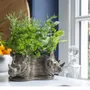Food storage - Tri-planter - QUAIL DESIGNS