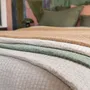 Plaids - Cet hiver, on se blottit ! - L'EFFET PAPILLON
