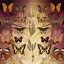 Stationery - Magic Stickers - Nature - HACHETTE LIVRE