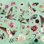 Stationery - Magic Stickers - Nature - HACHETTE LIVRE