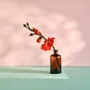 Aménagements pour bureau - flowers - AVEVA DESIGN