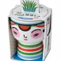 Children's decorative items - Kokeshi Green - NOTED