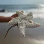 Objets design - Le Star Shell - Blanc - L - BAZAR BIZAR LIVING