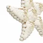Objets design - Le Star Shell - Blanc - L - BAZAR BIZAR LIVING