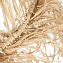 Blinds - The Casita Pendant - Natural - L - BAZAR BIZAR LIVING