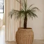 Caskets and boxes - The Luziru Basket - Natural - L - BAZAR BIZAR LIVING