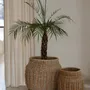 Baskets - The Luziru Basket - Natural - M - BAZAR BIZAR LIVING