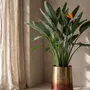 Vases - The Two Tone Brass Planter - Brass - XL - BAZAR BIZAR LIVING