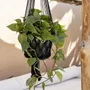 Objets de décoration - Le Porte-Plante Macramé - Noir - L - BAZAR BIZAR LIVING
