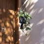 Objets de décoration - Le Porte-Plante Macramé - Noir - L - BAZAR BIZAR LIVING