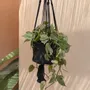 Decorative objects - The Macrame Plant Holder - Black - M - BAZAR BIZAR LIVING