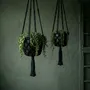 Decorative objects - The Macrame Plant Holder - Black - M - BAZAR BIZAR LIVING