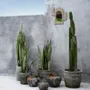 Vases - The Funky Vase - Antique Grey - L - BAZAR BIZAR LIVING