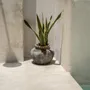 Vases - The Styly Vase - Antique Grey - L - BAZAR BIZAR LIVING