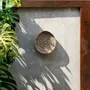 Other wall decoration - The Costa Shell Plate - Natural White - M - BAZAR BIZAR LIVING