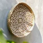 Other wall decoration - The Costa Shell Plate - Natural White - M - BAZAR BIZAR LIVING