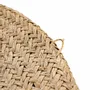 Other wall decoration - The Costa Shell Plate - Natural White - M - BAZAR BIZAR LIVING