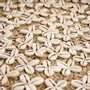 Other wall decoration - The Costa Shell Plate - Natural White - M - BAZAR BIZAR LIVING